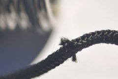 20110320_D324832