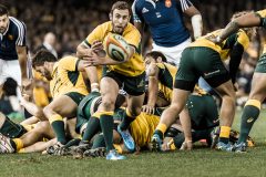 Rugby 2014 – Australia Beat France 6-0