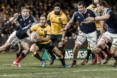 Rugby 2014 – Australia Beat France 6-0