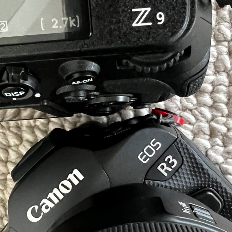 Nikon Z9 vs Canon EOS R3 - The 10 Main Differences - Mirrorless Comparison